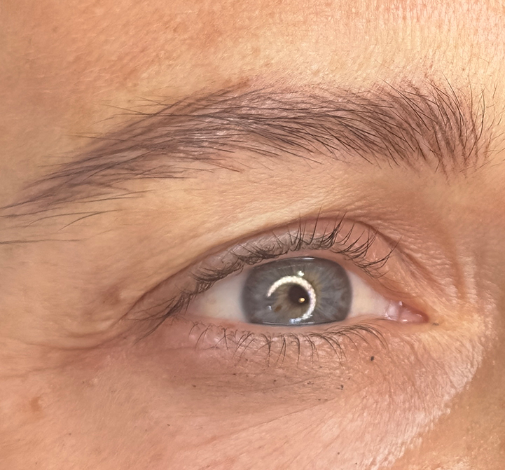 Cejas pelo a pelo realizadas por alumna de Isabelle's Academy